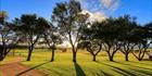 Cowra Prisoner of War Camp Site 